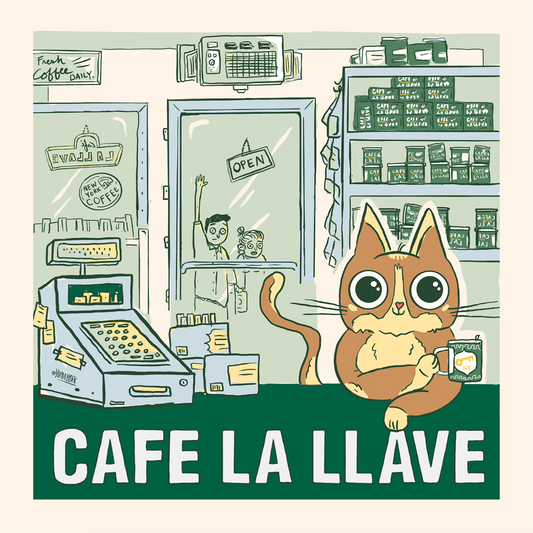 Bodega Cat